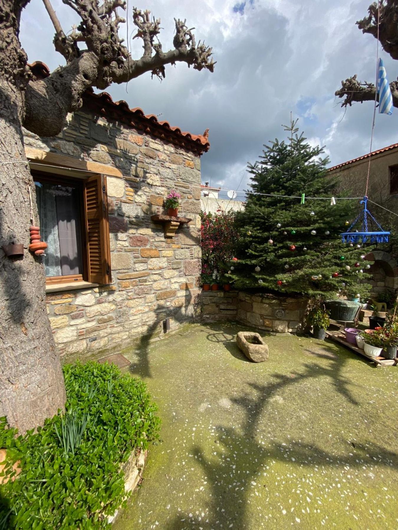 Apartament "The Stone" Agios Vlasios  Zewnętrze zdjęcie